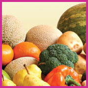 view a sampling of Luconti Design multimedia projects